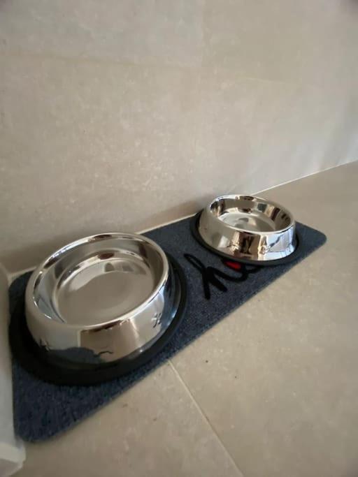 Kronstadt Apartment - Pet Friendly 布拉索夫 外观 照片